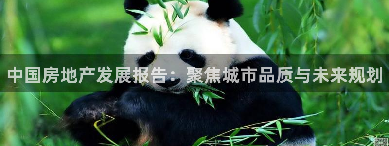 新宝5娱乐如：中国房地产发展报告：聚焦城市品质与未来规划
