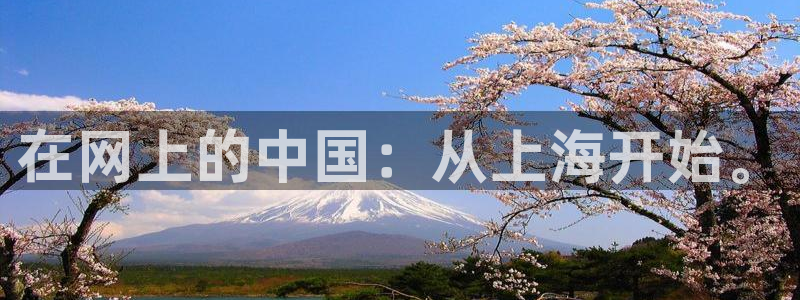 新宝5日740005蔻：在网上的中国：从上海开始。
