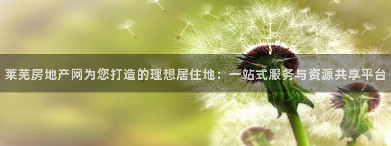 新宝5怎么代理：莱芜房地产网为您打造的理想居住地：一站式服务