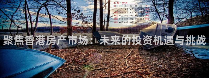 新宝5彩票平台登陆：聚焦香港房产市场：未来的投资机遇与挑战