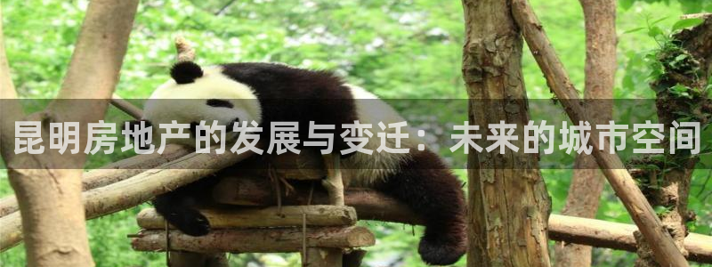 新宝5开户：昆明房地产的发展与变迁：未来的城市空间