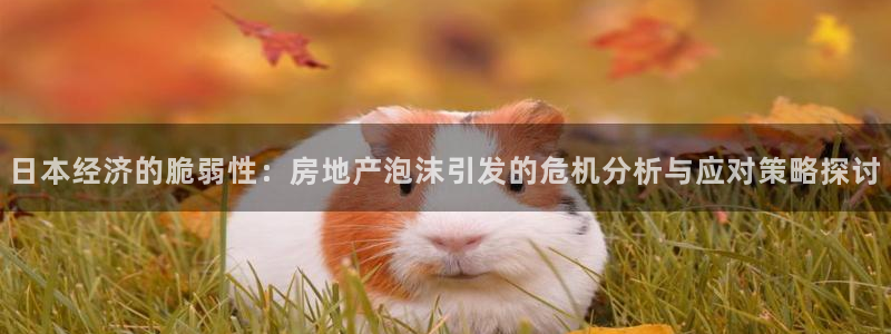 新宝5飞355051：日本经济的脆弱性：房地产泡沫引发的危机