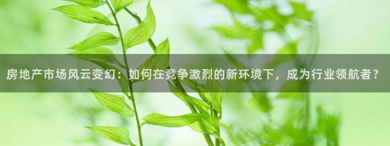 新宝5上来77542：房地产市场风云变幻：如何在竞争激烈的新