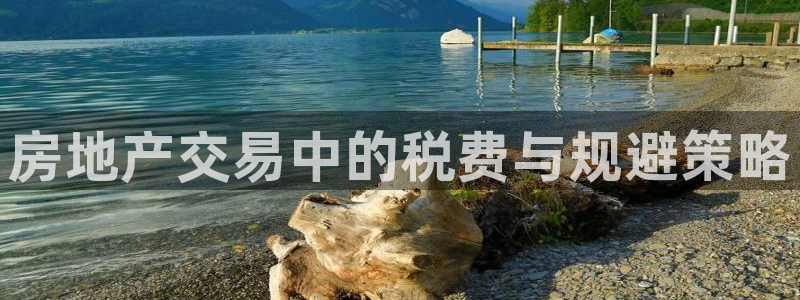 新宝5官网app：房地产交易中的税费与规避策略