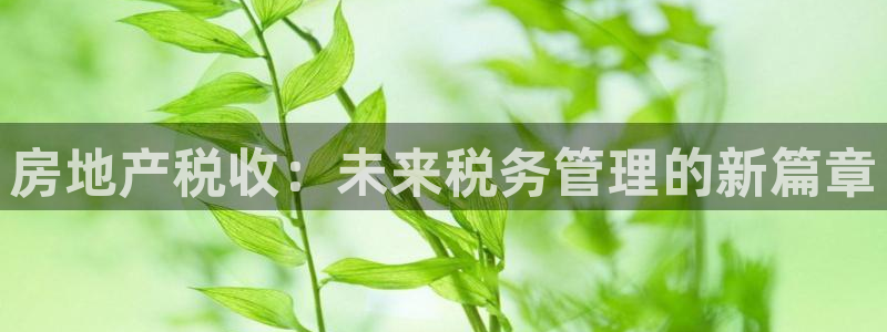 新宝5测速下载：房地产税收：未来税务管理的新篇章