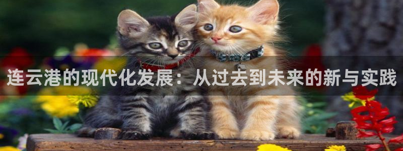 新宝5官方网站：连云港的现代化发展：从过去到未来的新与实践