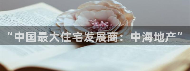 新宝5测速在线：“中国最大住宅发展商：中海地产”